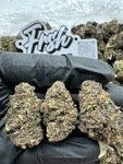 PURPLE PEZ CANDY