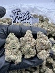 CHERRY GARCIA