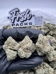 PLATINUM GG4 🦍