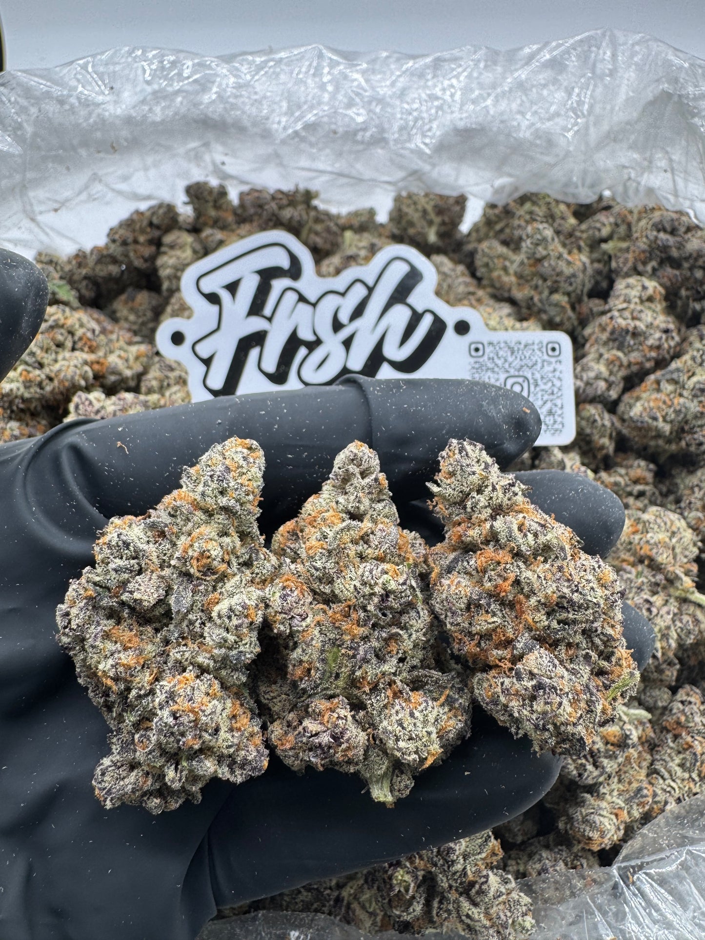 PURPLE CHROME CANDY