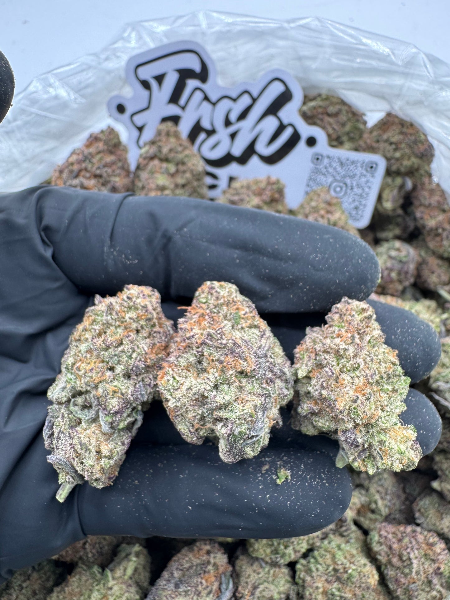 PURPLE GELONADE
